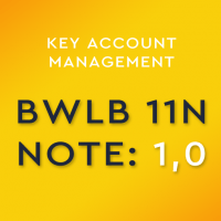 Cover - ILS Einsendeaufgabe BWLB 11N - Note 1,0